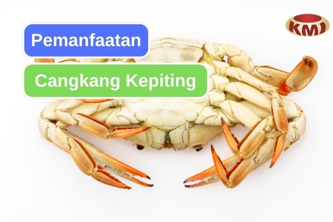 8 Pemanfaatan Limbah Cangkang Kepiting dalam Berbagai Bidang